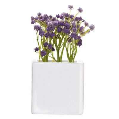 ������������� �����