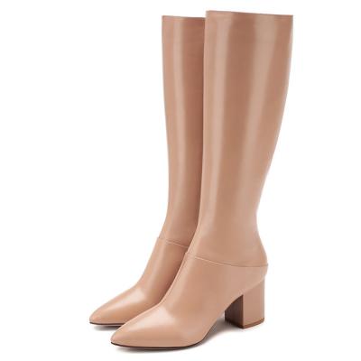 ������ �������